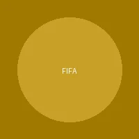 国际足球协会颁发的数据服务牌照徽章